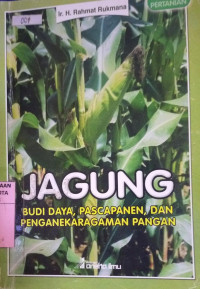 Image of Jagung
