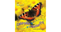 Image of Caterpillar to Butterfly